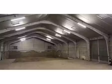 entrepôt à louer à bellegem pour € 1.000
