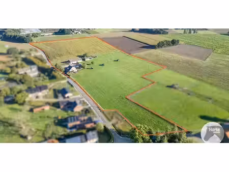 ferme à vendre à bree pour € 1.245.000 avec 4 chambres à coucher