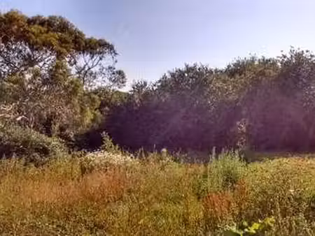 vente terrain à saint-renan (29290) : à vendre / saint-renan