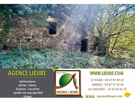 achat terrain 15 920m² montdardier 30120