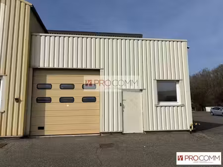 location local d’activités luisant 28600 110m²