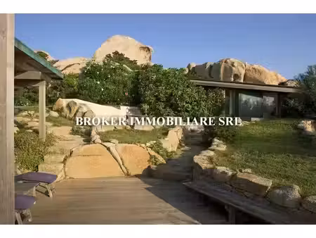 villa de luxe de 6 pièces en vente isola di cavallo  bonifacio  corse-du-sud  corse