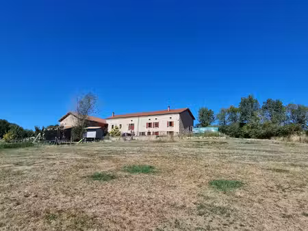 maison à craponne-sur-arzon (43500)