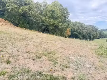 vente terrain 1300 m² à seilhac (19700)  19 000 €