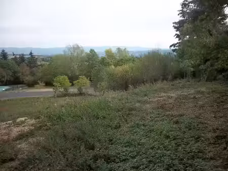 vente terrain à batir 1514 m² à fayet-le-château (63160)  18 750 €