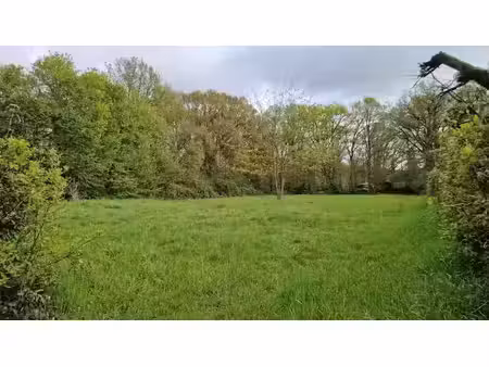 vente terrain 426 m² à chanzeaux (49750)  35 695 €