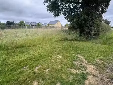 vente terrain 730 m² à faye-d'anjou (49380)  40 000 €