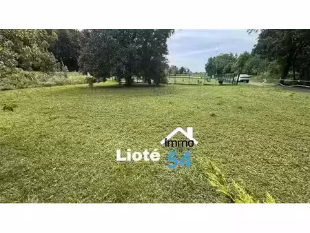 vente terrain 501 m² à crévéchamps (54290)  40 000 €