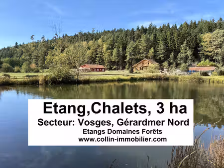 achat terrain 27 000m² gerardmer 88400
