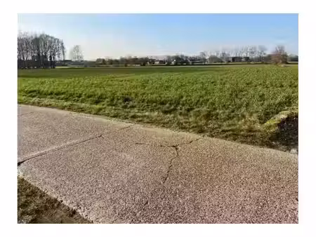 terrain agricole à vendre à landweg noorderwijk (rbx03273)