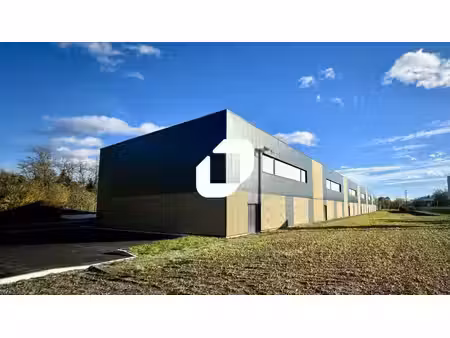 location local d’activités geispolsheim 67118 379m²