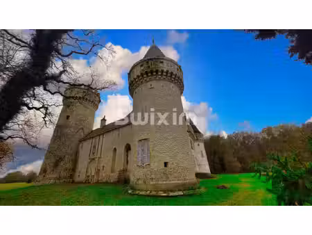 vente château 40 pièces