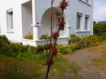 vente maison à missillac (44780) : à vendre / 151m² missillac