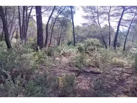 achat terrain 458m² salernes 83690