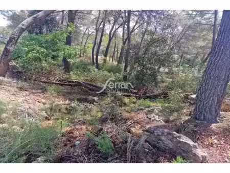 achat terrain 515m² salernes 83690