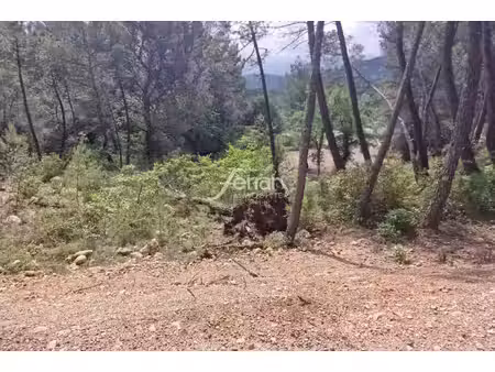 achat terrain 706m² salernes 83690