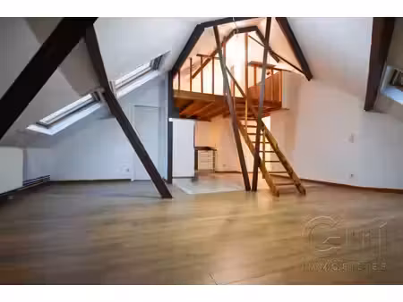 appart 1 chambre - cuisine équipée - buanderie et grenier
