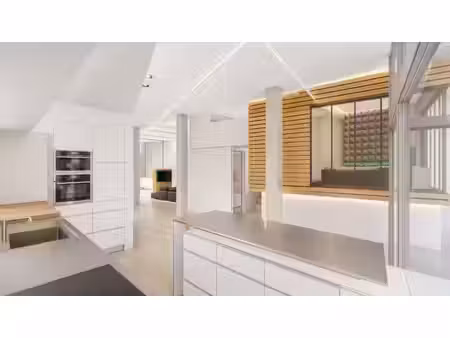 à vendre – loft atypique de 250 m² avec grand garage/atelier