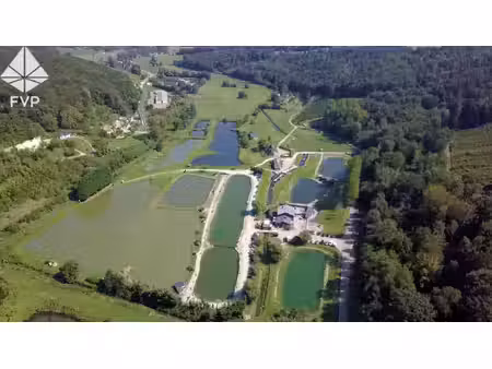 a vendre pisciculture  etangs de peche