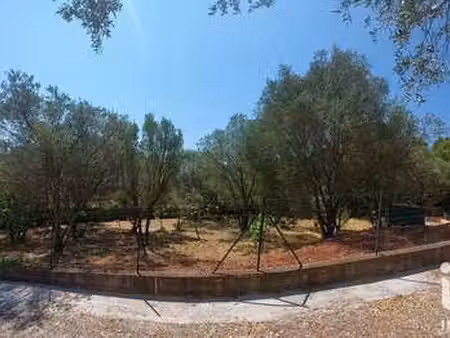 vente terrain à solliès-pont (83210) : à vendre / 881m² solliès-pont