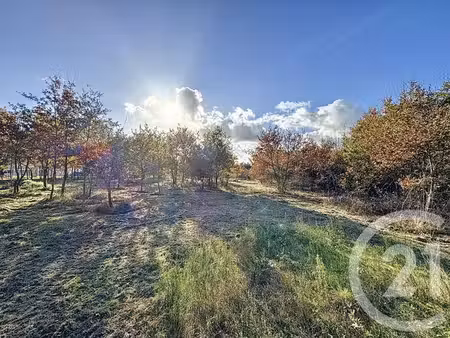 terrain à vendre - 7048 m2 - montrieux en sologne - 41 - centre