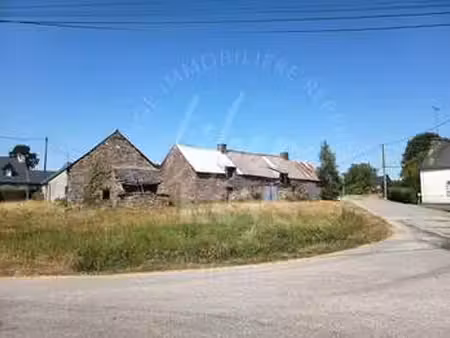 vente longère et corps de ferme à saint-congard (56140) : à vendre / 250m² saint-congard