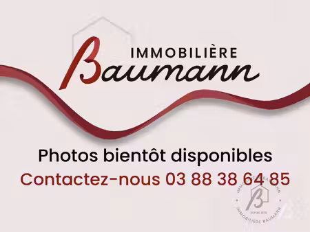 appartement à louer stotzheim