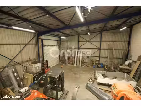 local d'activité 239 m²
