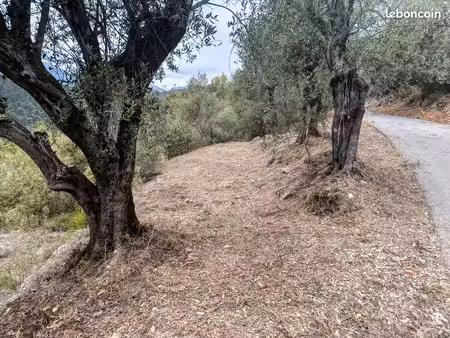 terrain 4300 m2