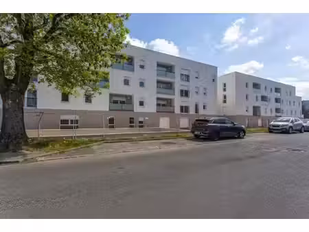 appartement t3