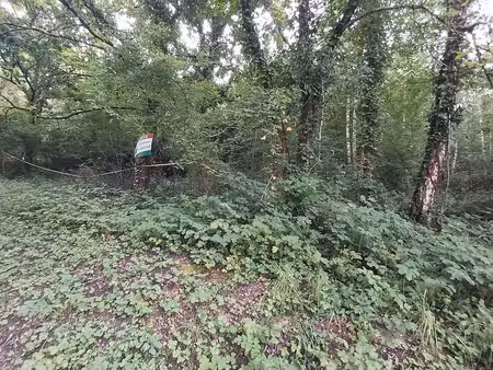 terrain de 952m2 a 10mn de blois