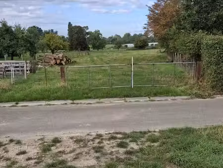 très belle parcelle de 10 ares à piétrain - cadre champêtre