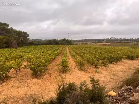 à vendre – 4 40 ha de vignes aop bio – creissan (34)