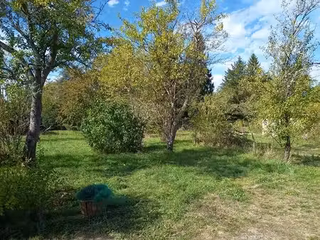 terrain constructible bois-le-roi