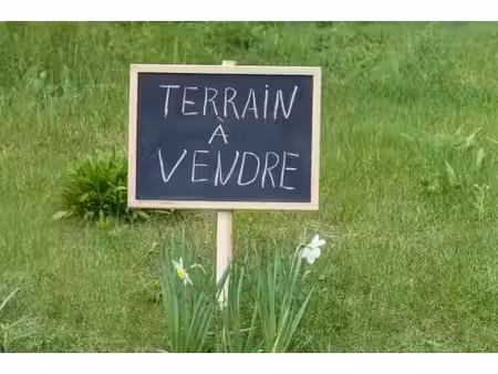 terrain