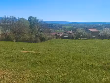 terrain constructible