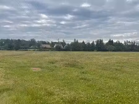 terrain tigy