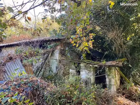 4 hectares  avec une ruine de 170 mètres carrés environ comprenant une partie habitation