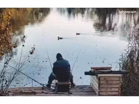 recherche étang à louer en bail de pêche (minimum 1 an) secteur 200 km paris