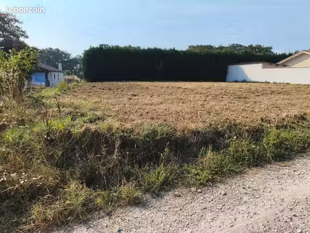 terrain 1000m2