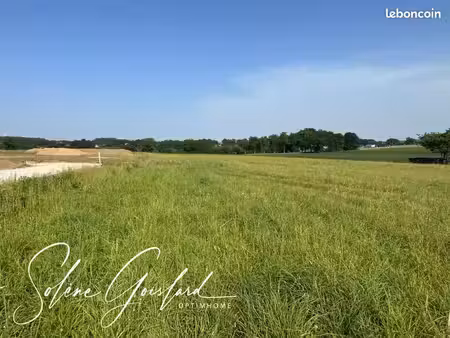 terrain 2 576 m² saint martin sur oust