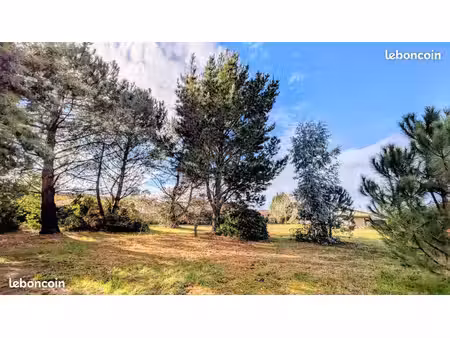 magnifique terrain arboré de 1873 m²