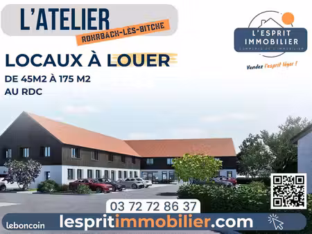 local 45 m² rohrbach-lès-bitche