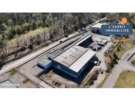local 19000 m² saint-avold