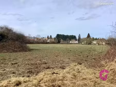 terrain 18962 m² courpière