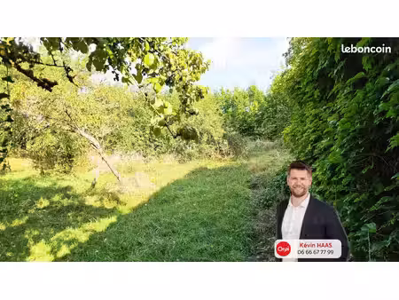 terrain 1 129 m² luttange