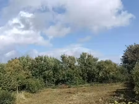 terrain 817 m² landrethun-les-ardres