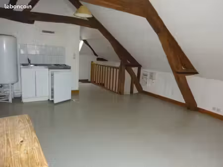 studio 1 pièce 20 m²