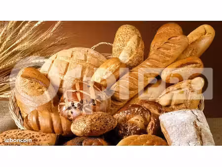 boulangerie/pâtisserie 64 m²