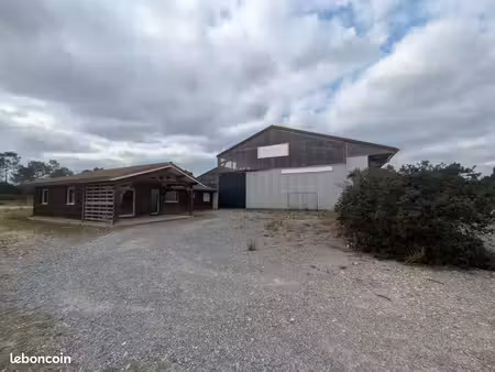 bâtiment industriel 800 m² + terrain 3 600 m² – pontonx-sur-l'adour – bureaux 100 m² poten
